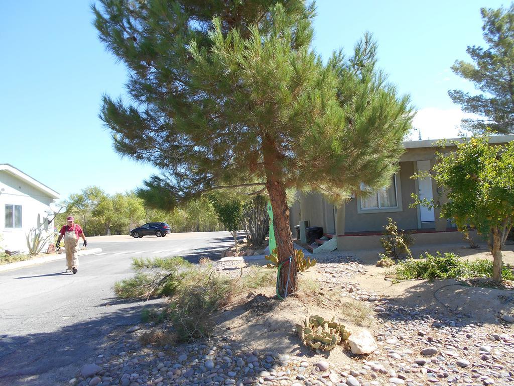 Atomic Inn Beatty Near Death Valley מראה חיצוני תמונה